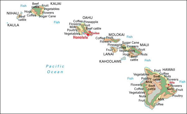 Economy in Hawaii