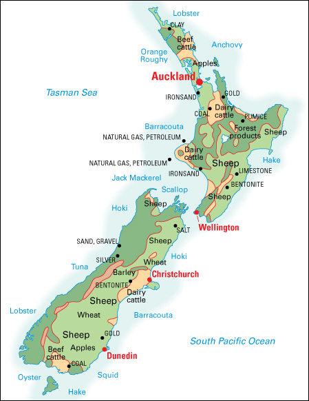 Economy in New Zealand