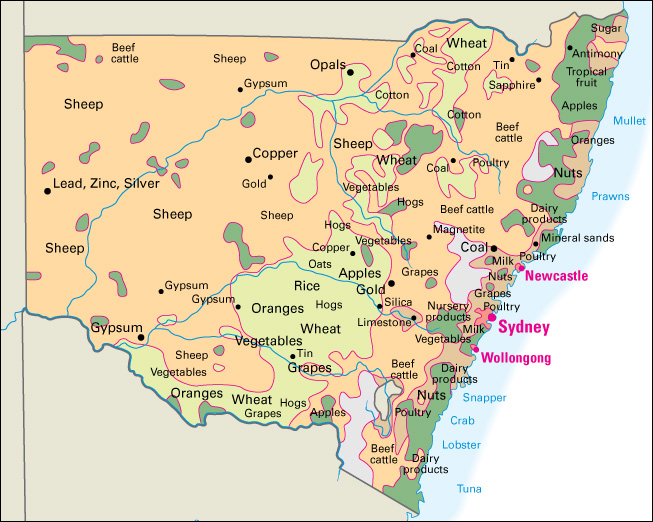 Economy in New South Wales