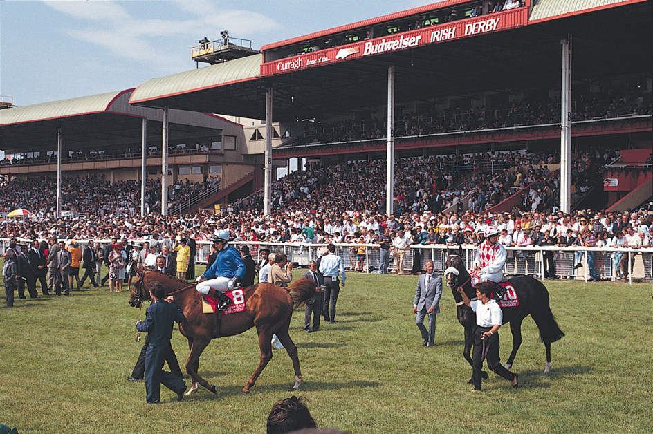 Irish Derby horse race