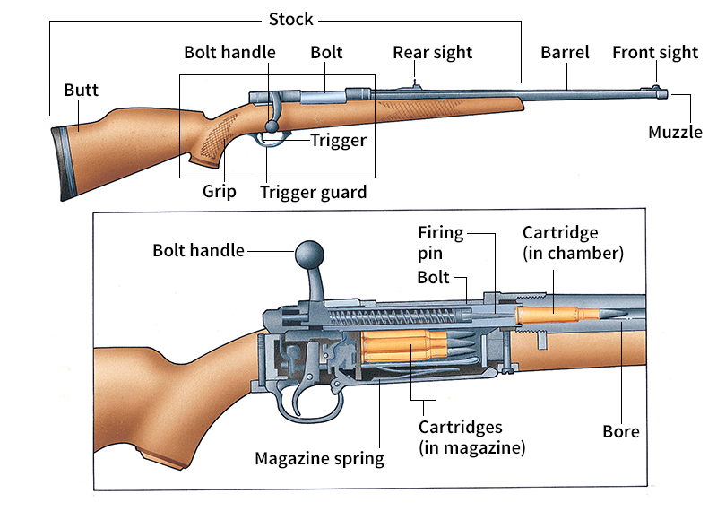 Parts of a rifle