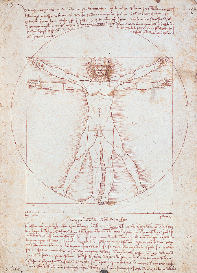 Vitruvian man by Leonardo da Vinci