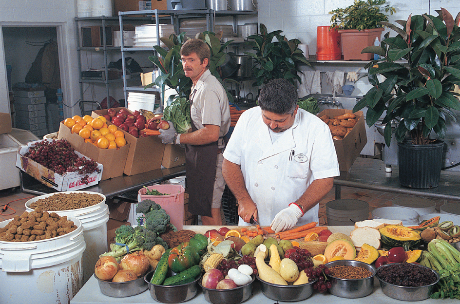 Inside a zoo kitchen