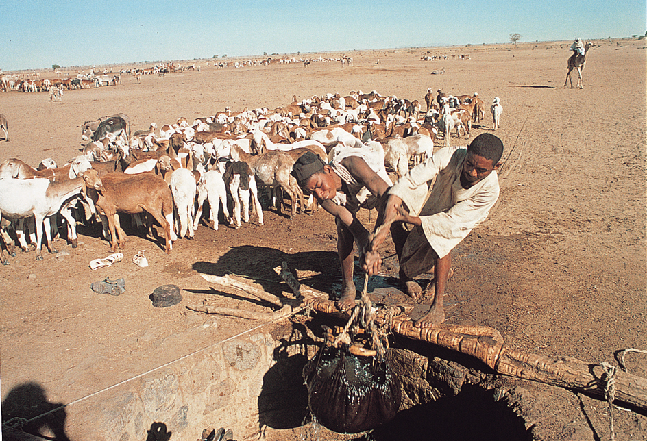 Harsh, sparsely populated deserts