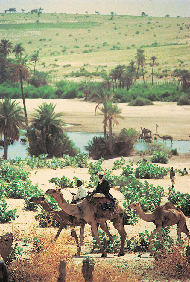 Oasis in the desert of northern Chad