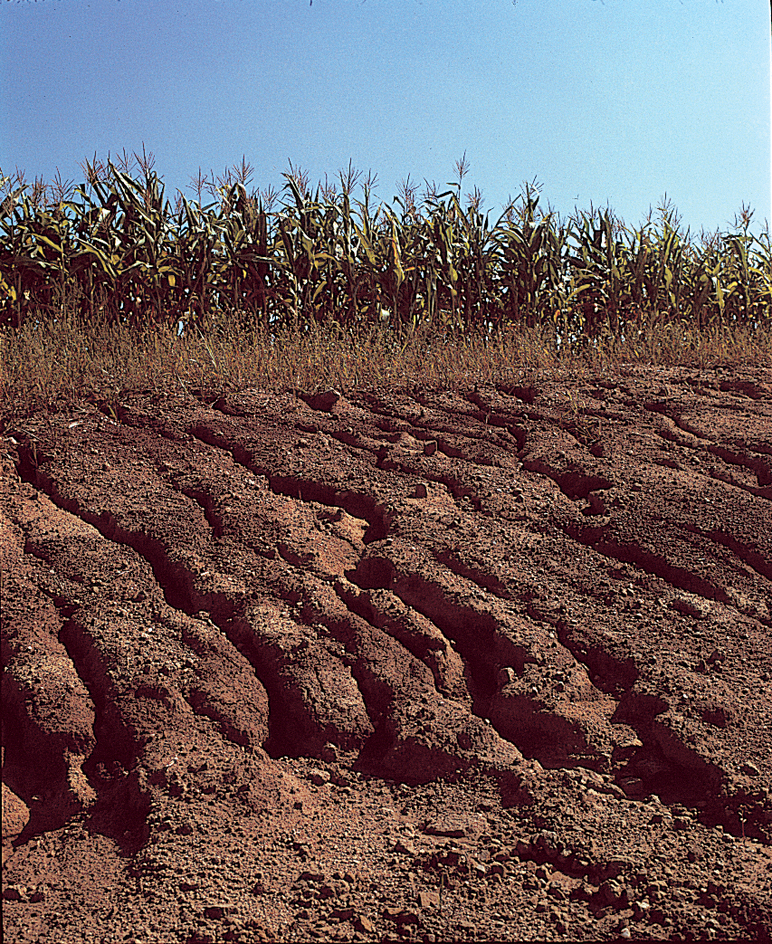 Erosion by water occurs rapidly