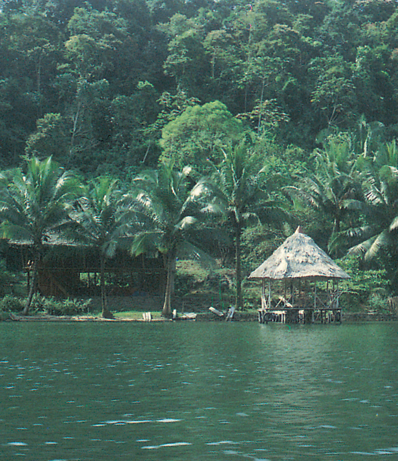 Rural village along a river