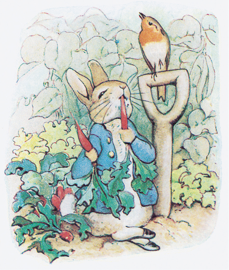 The Tale of Peter Rabbit by Beatrix Potter