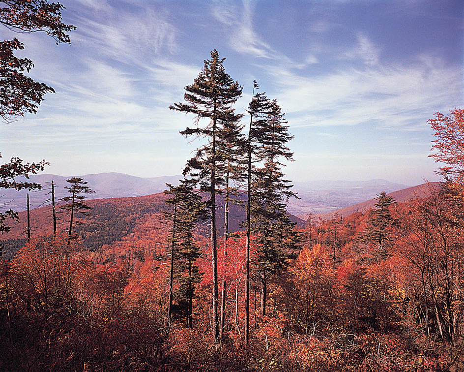 The Berkshire Hills