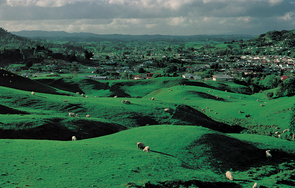 New Zealand's beautiful countryside