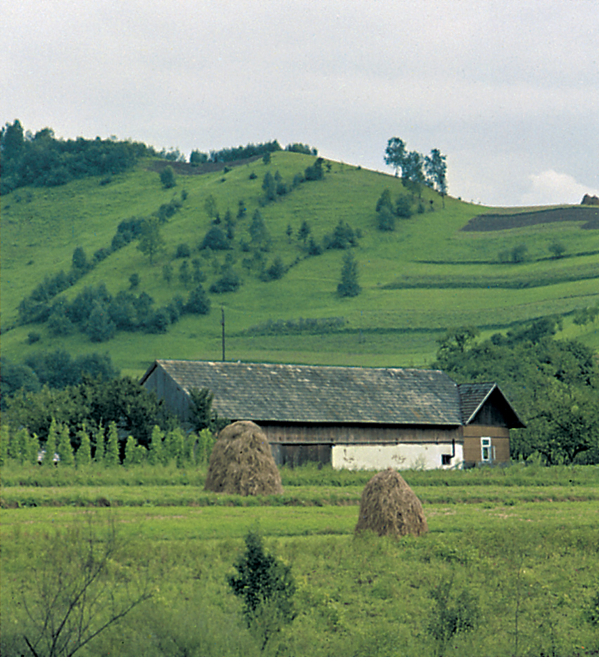 Gently rolling hills of southern Poland