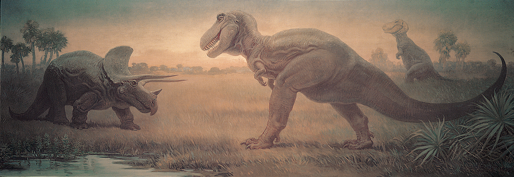 Early view of Tyrannosaurus rex