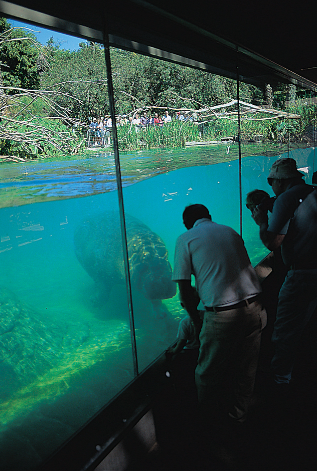 San Diego Zoo