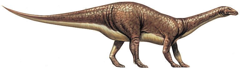 Plateosaurus