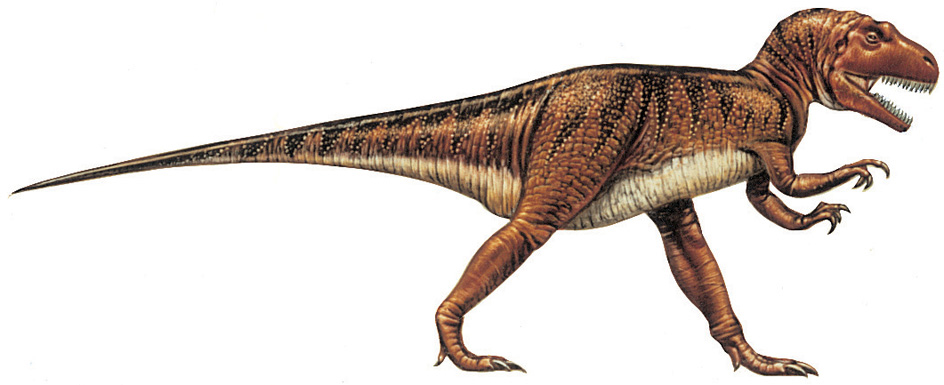 Allosaurus