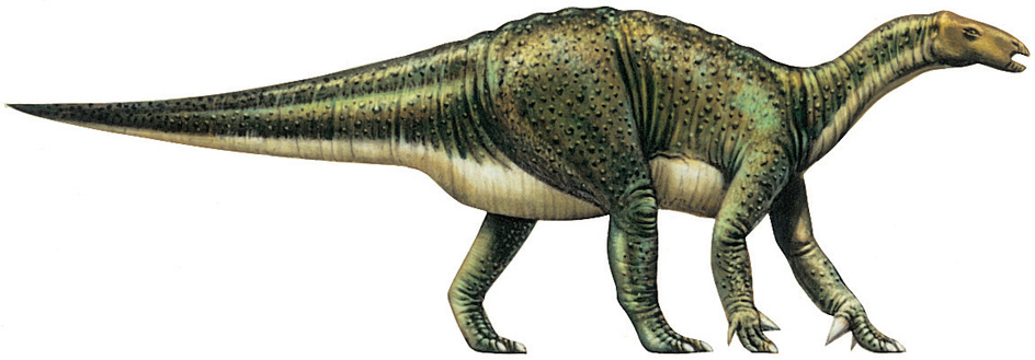 Iguanodon