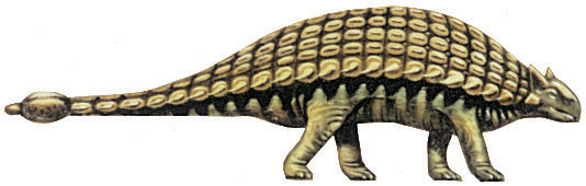 Ankylosaurus