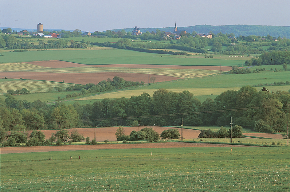 Farmland in Belgium