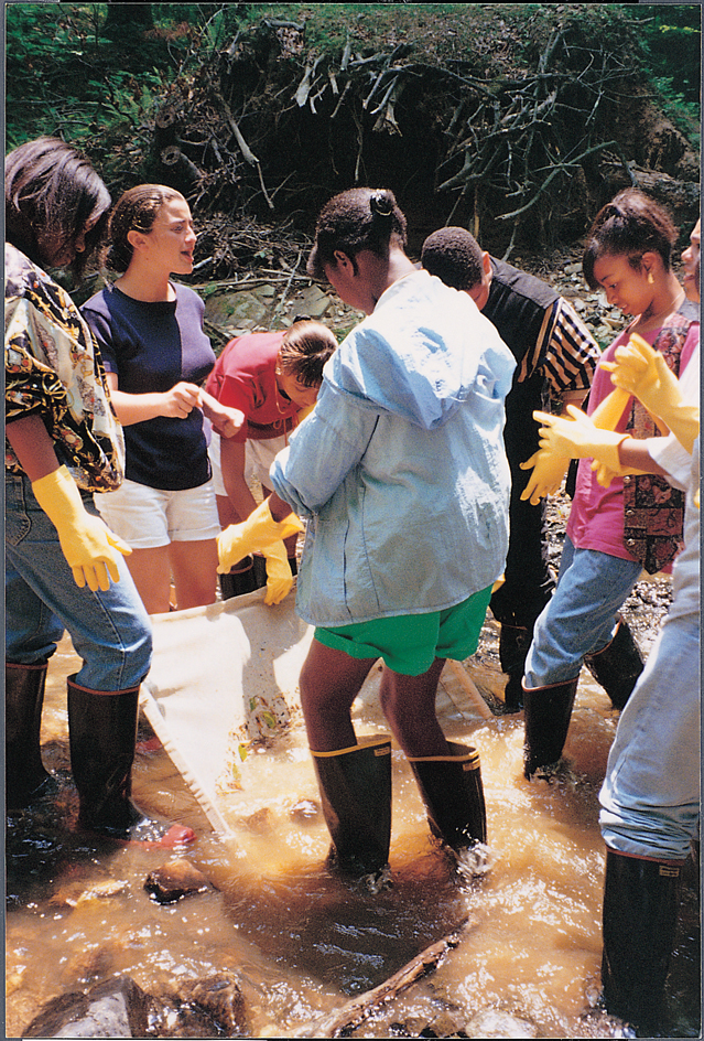 Collecting samples from a stream