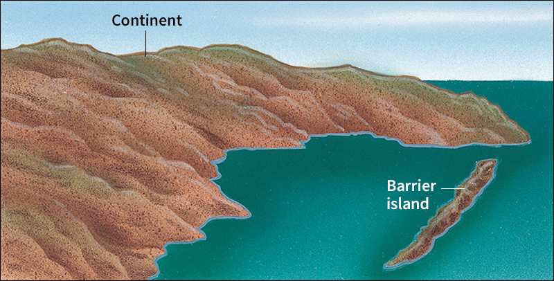 Barrier island