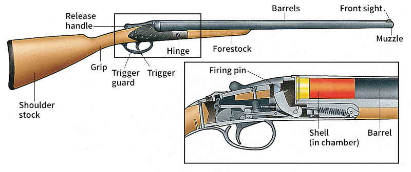 Parts of a double-barreled shotgun