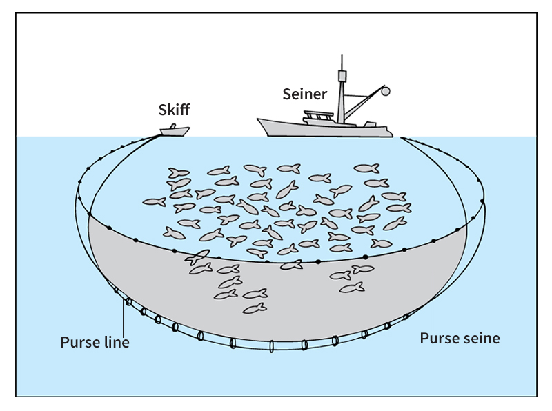 Purse seine fishing net