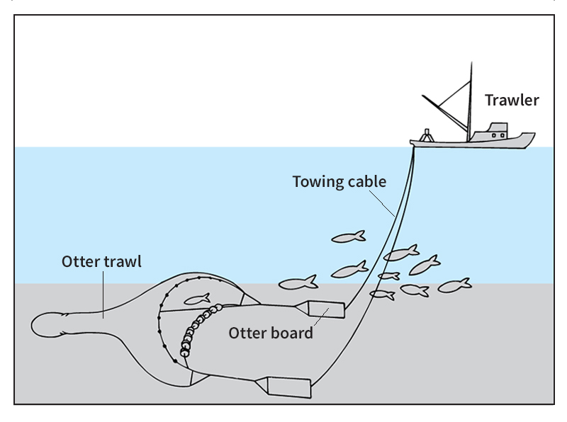 Otter trawl fishing net