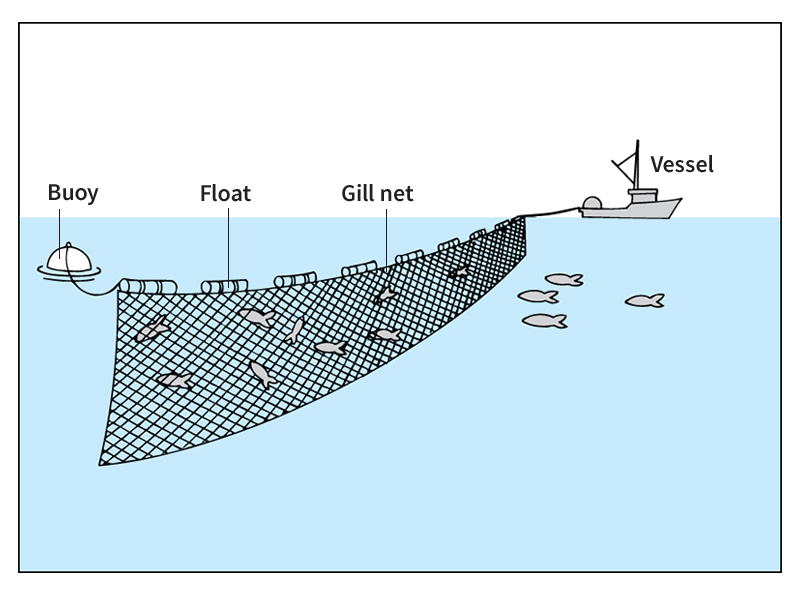 Gill fishing net