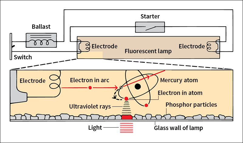 How a fluorescent lamp works