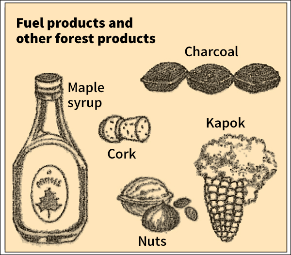 Fuel products and other forest products