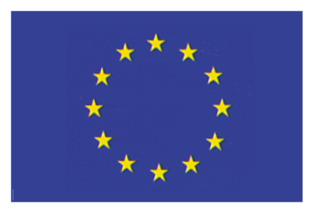 European Union and Council of Europe flag