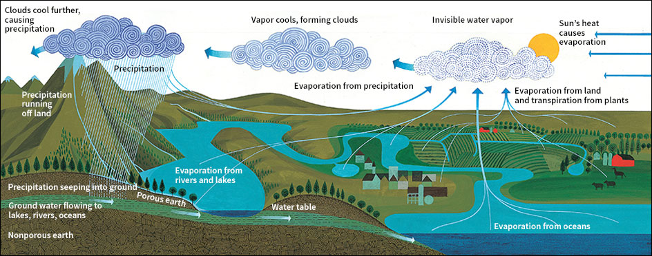 The water cycle