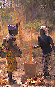 Women in Mali grind grain