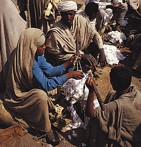 Weighing cotton in a rural market