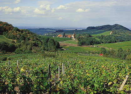 Alsace region in France