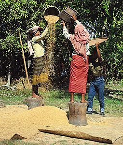 Cambodian women