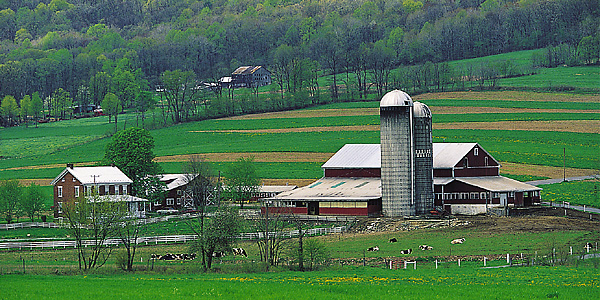 Lancaster County farm