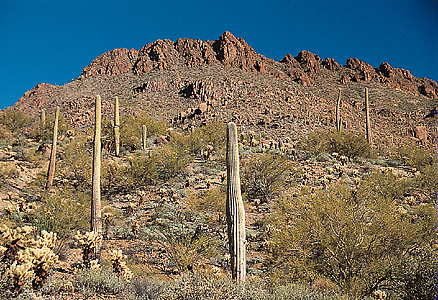 Desert areas in the United States