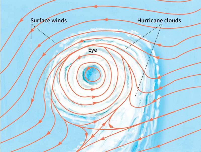 Hurricane winds top view