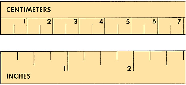 Inch ruler and metric ruler