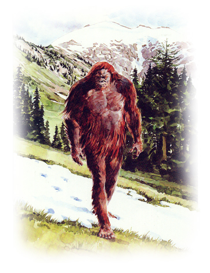 Artist's depiction of Bigfoot