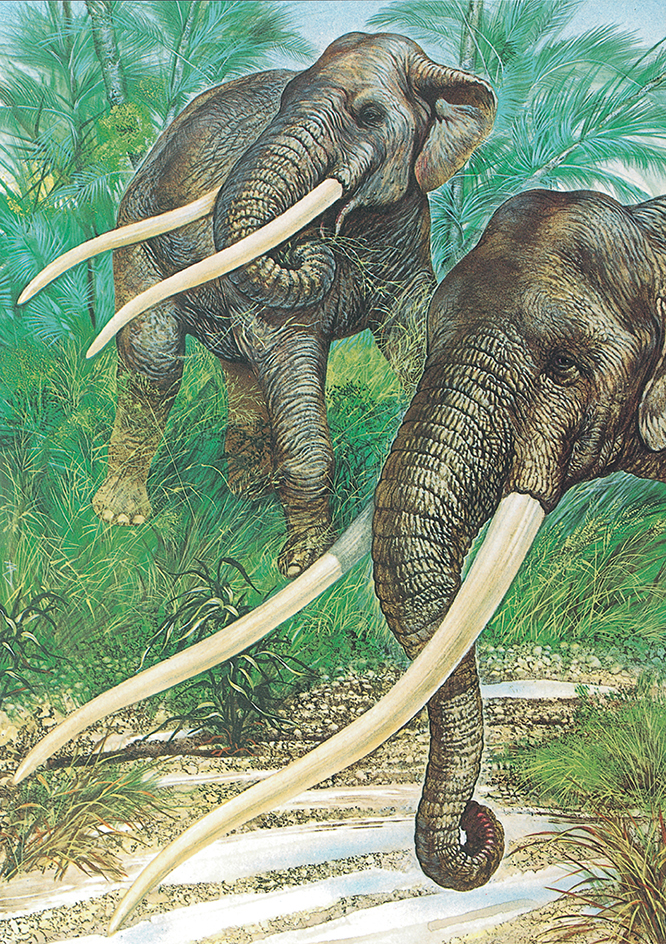 Mastodons