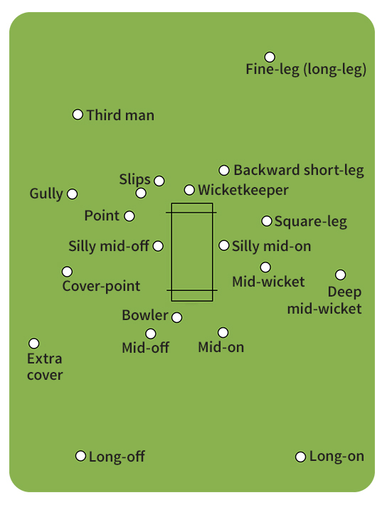 Cricket fielding positions