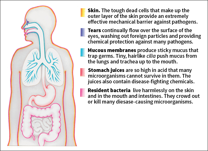 Barriers against infections