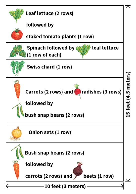 Vegetable garden plan