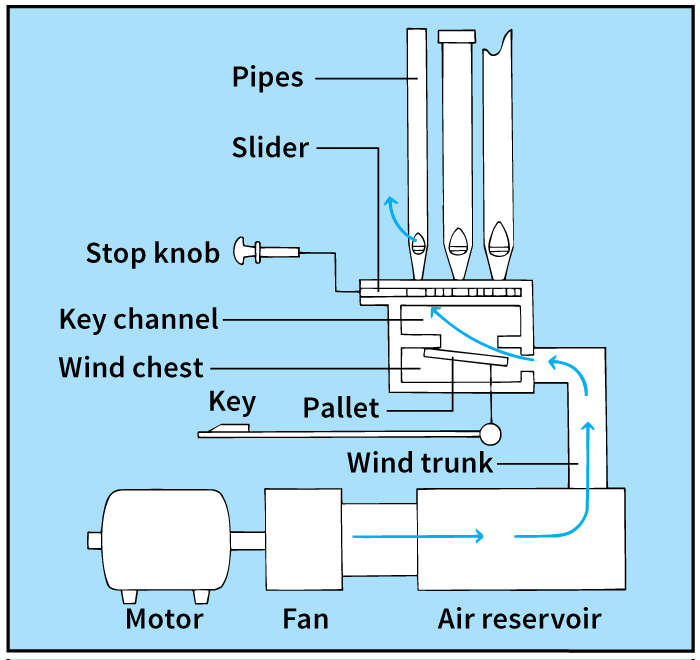 How a pipe organ works