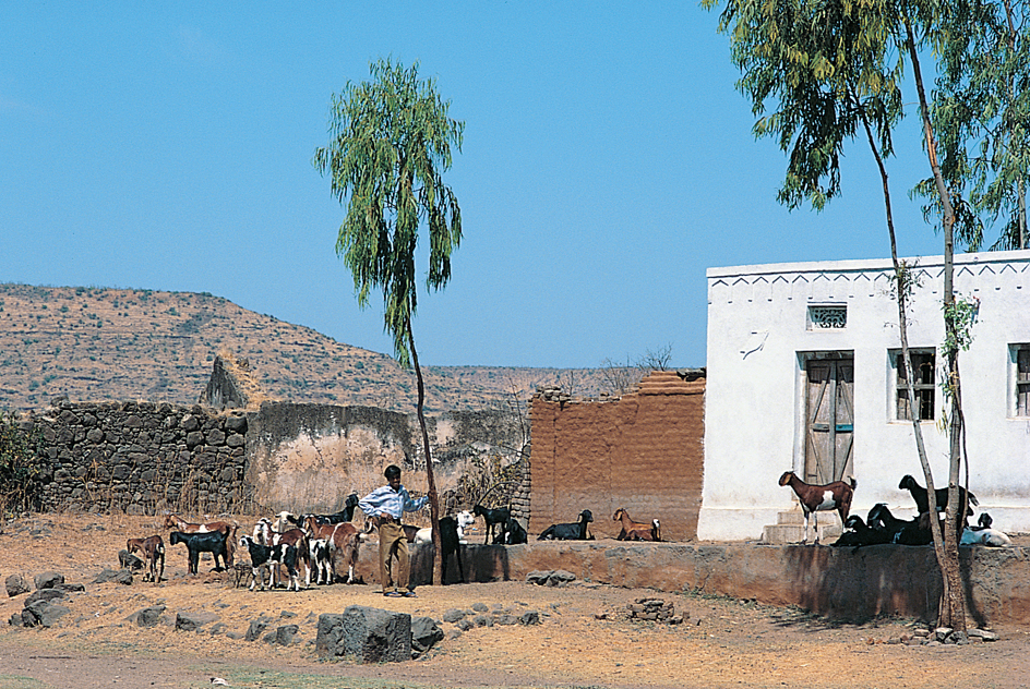 Village life in India