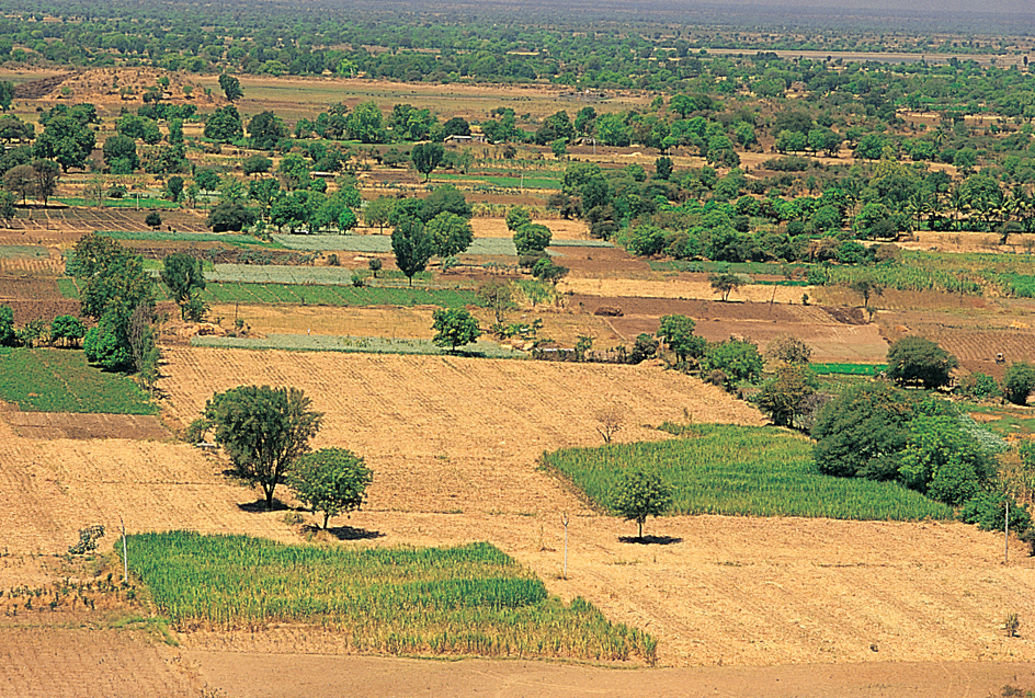 Fertile cropland in southern India