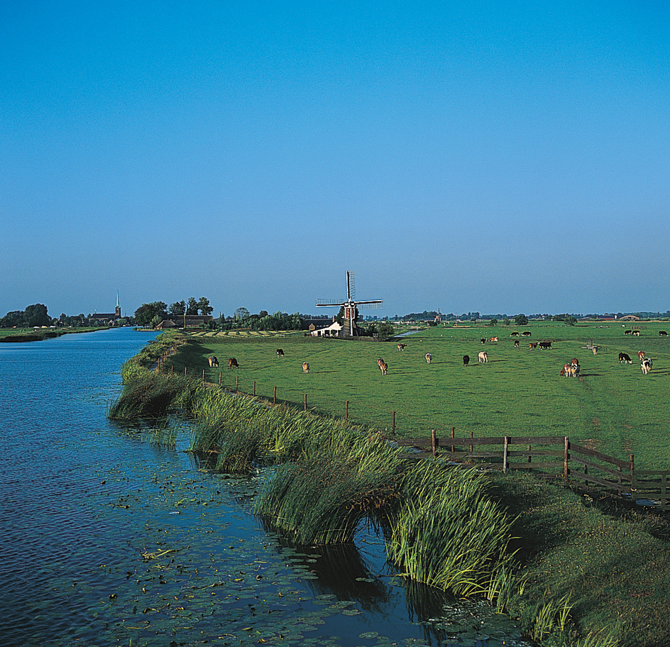 Polder