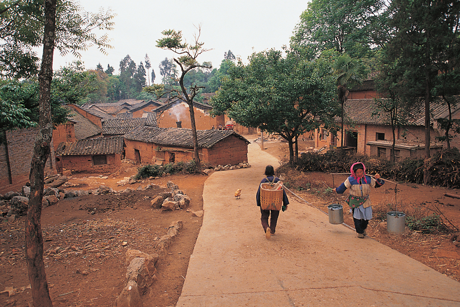 Rural houses in China